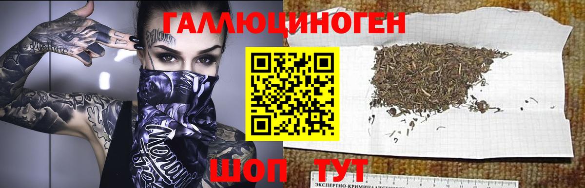 Галлюциногенные грибы мицелий Бугуруслан
